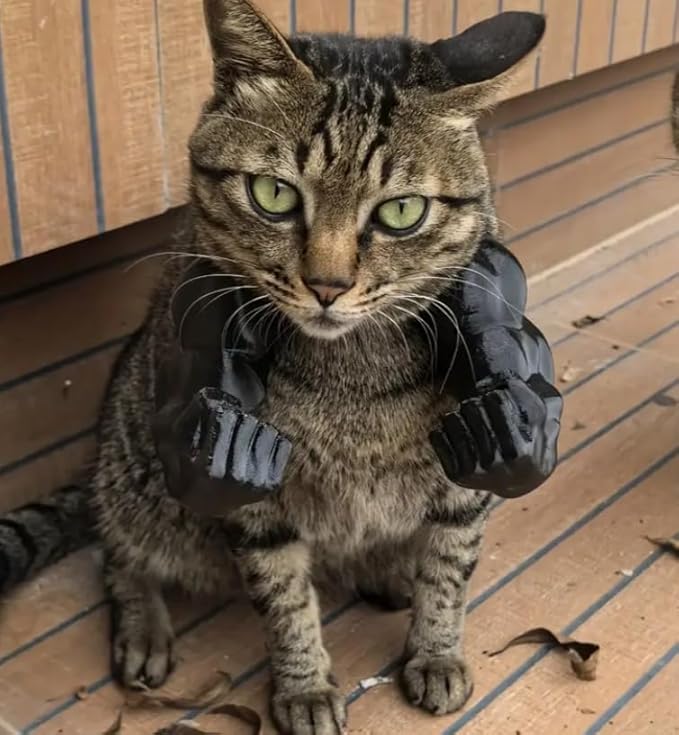 Нека вашето домашно любимец стане експерт по мускули – 3D отпечатана декорация на мускулна ръка.