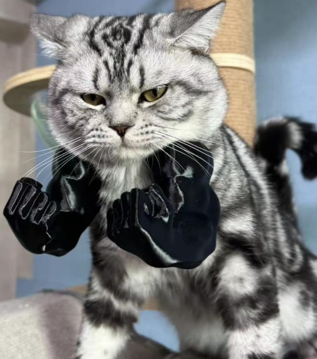 Нека вашето домашно любимец стане експерт по мускули – 3D отпечатана декорация на мускулна ръка.